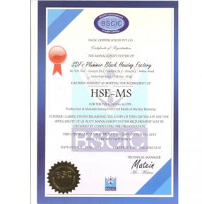 گواهینامه  HSE-MS
